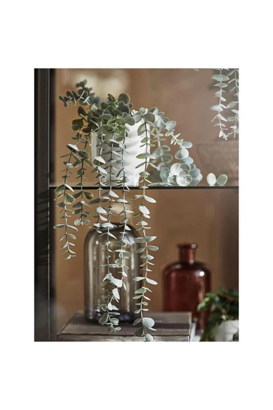 IKEA Fejka Yapay Sarkıt Okaliptus 70466811 - 3