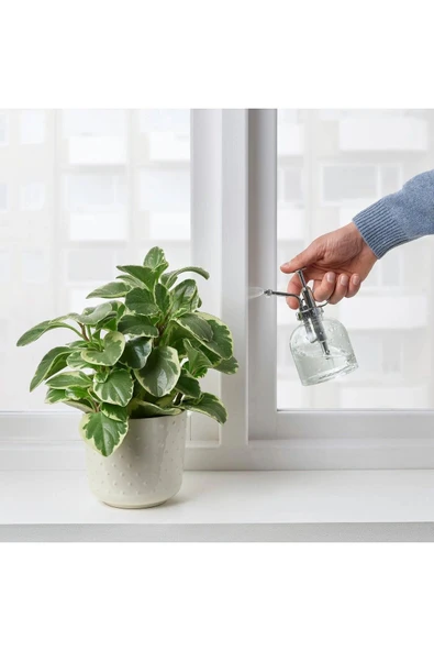 IKEA 2 Adet Bitki Sulama Spreyi Hacim: 250 Ml İkea 2'li Set Cam Sulama Kabı Şeffaf Sprey - 3