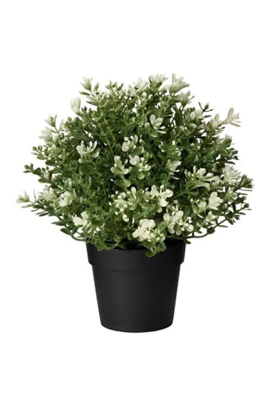 IKEA Kekik Çiçeği Yapay Kekik Bitkisi 9 Cm Yapay Bitki Ev Dekorasyon