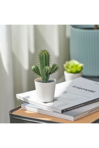 IKEA Premium Ürün Kaliteli Üretim Dayanıklı Kullanışlı Şık İç Dış Mekan 6 Cm Yapay Bitki Kaktüs FEJKA - 4