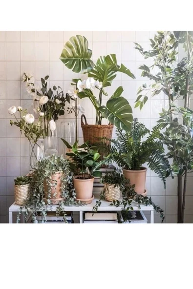 IKEA Premium Ürün Dayanıklı Kaliteli Üretim Modern Şık Tasarım Okaliptüs İç Dış Mekan Yapay Bitki - 4