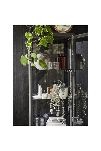 IKEA Fejka Yapay Sarkıt Okaliptus 70466811 - 6