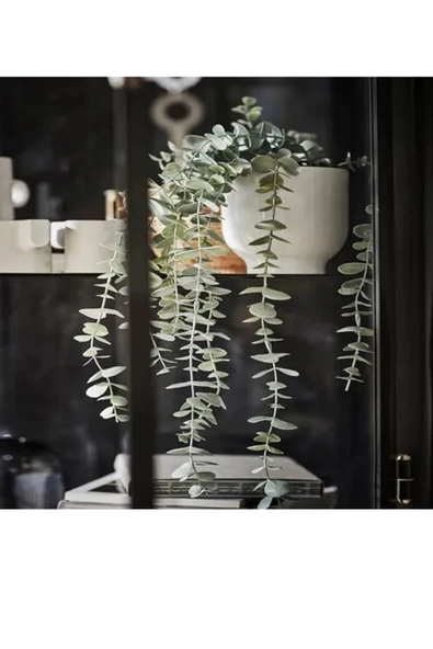 IKEA Premium Ürün Dayanıklı Kaliteli Üretim Modern Şık Tasarım Okaliptüs İç Dış Mekan Yapay Bitki - 3