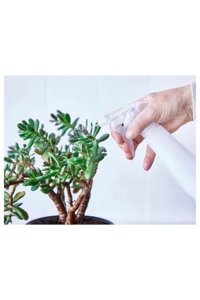 IKEA Beyaz Fısfıslı Sulama Sprey Şişesi 35 Cl Bitki Ve Mutfak Için Sprey Plastik