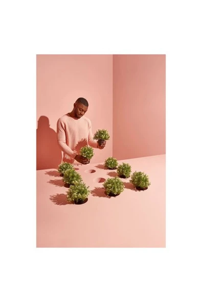 IKEA FEJKA yapay bitki, 9 cm - 2