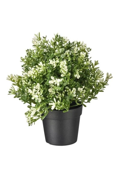 IKEA FEJKA yapay bitki, 9 cm