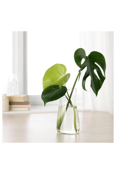IKEA Karaff Saydam Cam 1 Lt. 00342975 - 3
