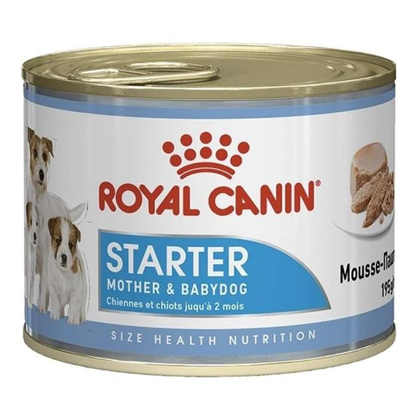 Royal Canin Starter Mousse Yavru Köpek Konservesi 195gr ürün görseli