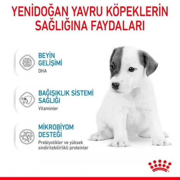 Royal Canin Babydog Milk Yavru Köpek Süt Tozu 400gr - 4