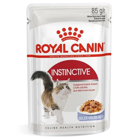 Royal Canin Instinctive Adult Jelly Yetişkin Yaş Kedi Maması 85gr ürün görseli