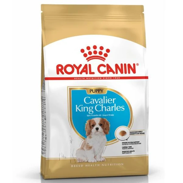 Royal Canin Puppy Cavalier King Charles Yavru Köpek Maması 1,5Kg