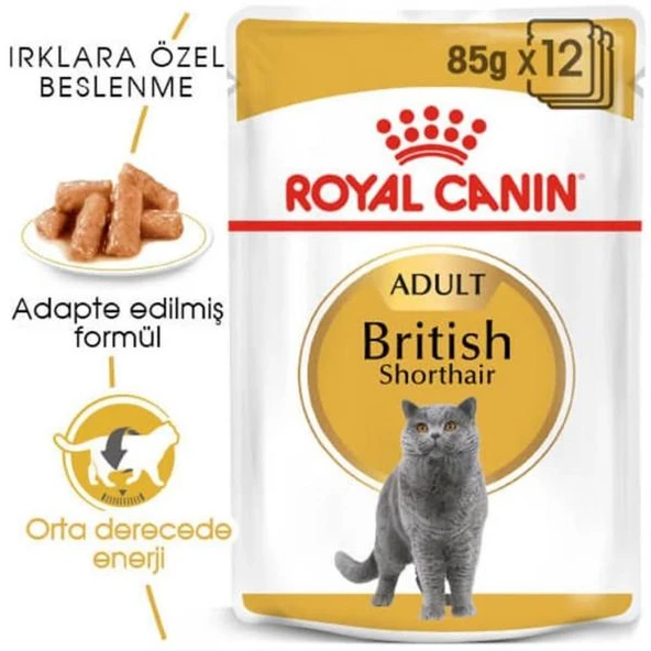 Royal Canin British Shorthair Adult Yetişkin Yaş Kedi Maması 85gr 12 Adet - Resim 3