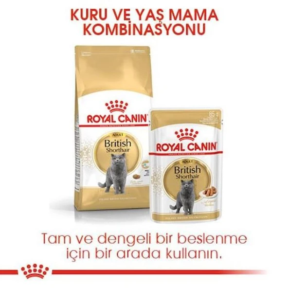 Royal Canin British Shorthair Yetişkin Kedi Maması 4 Kg - 8