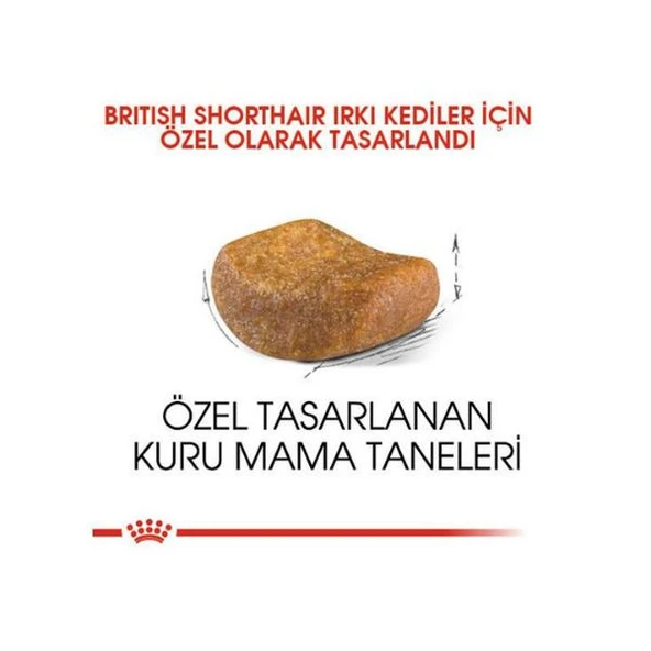Royal Canin British Shorthair Yetişkin Kedi Maması 4 Kg - 3