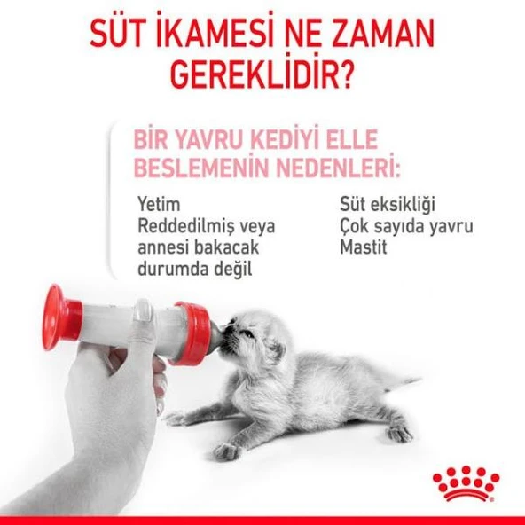 Royal Canin Babydog Milk Yavru Köpek Süt Tozu 400gr - 3