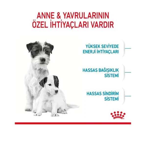 Royal Canin Mini Starter Mother&Babydog Küçük Irk Yavru Köpek Maması 4Kg - 3