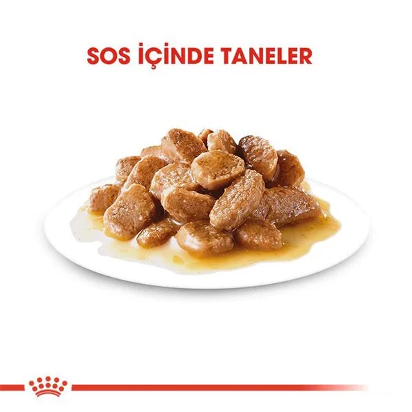 Royal Canin Mini Adult Küçük Irk Yetişkin Köpek Maması 85gr - 4