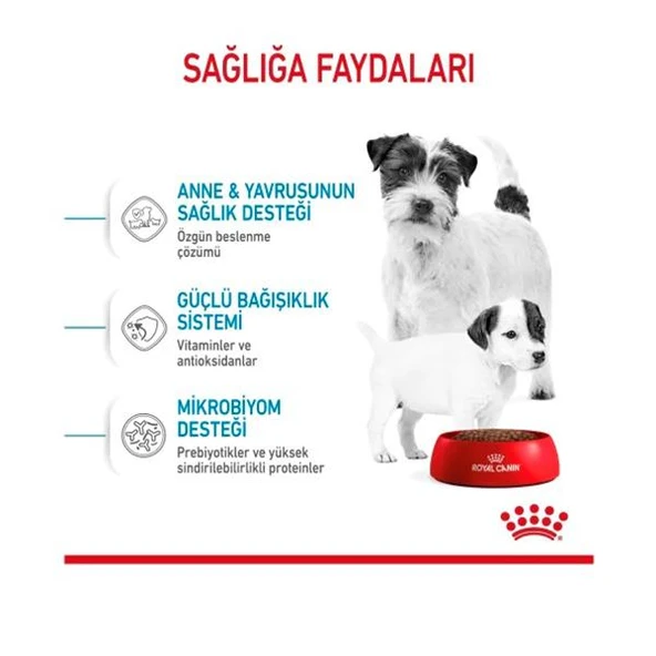 Royal Canin Mini Starter Mother&Babydog Küçük Irk Yavru Köpek Maması 4Kg - 4