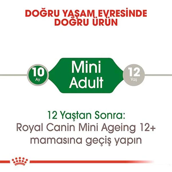 Royal Canin Mini Adult Küçük Irk Yetişkin Köpek Maması 85gr - 3