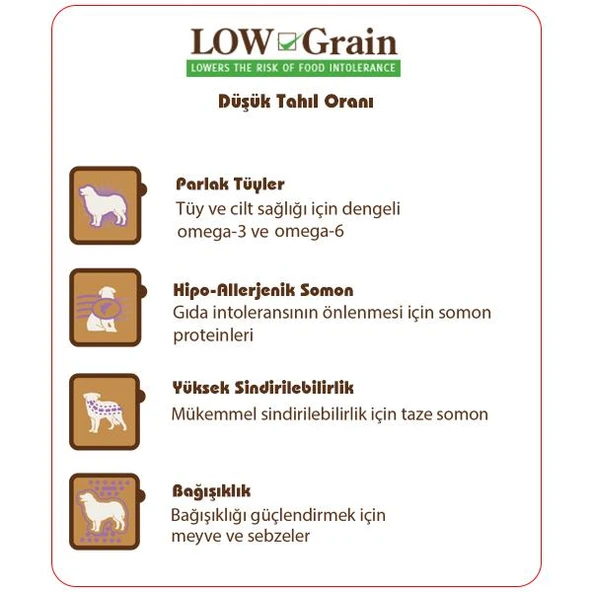 Sam's Field Somonlu Düşük Tahıllı Yetişkin Köpek Maması 13 Kg - Resim 2