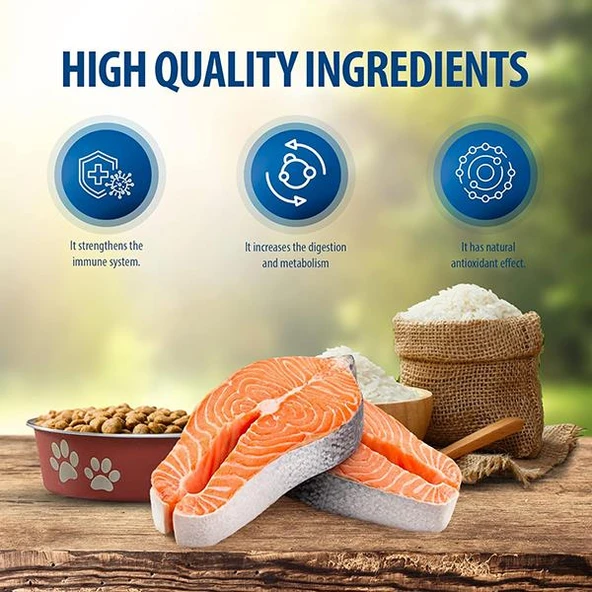 Reflex Plus Orta ve Büyük Irk Somonlu Yetişkin Köpek Maması 3Kg - 3