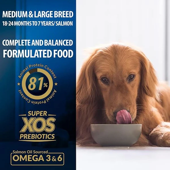 Reflex Plus Orta ve Büyük Irk Somonlu Yetişkin Köpek Maması 15Kg - 4