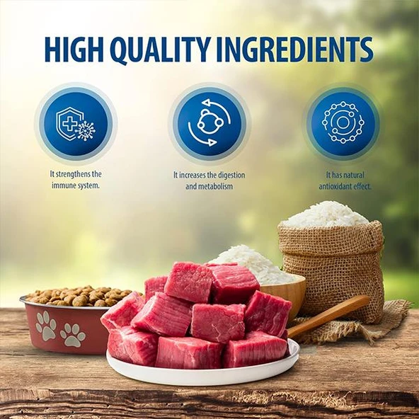 Reflex Plus High Energy Dana Etli Yetişkin Köpek Maması 3Kg - 3