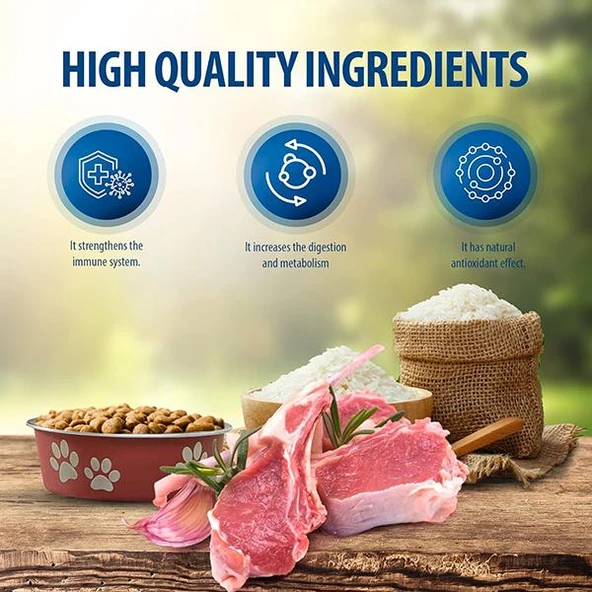 Reflex Plus Orta ve Büyük Irk Kuzu Etli Yetişkin Köpek Maması 3Kg - 3