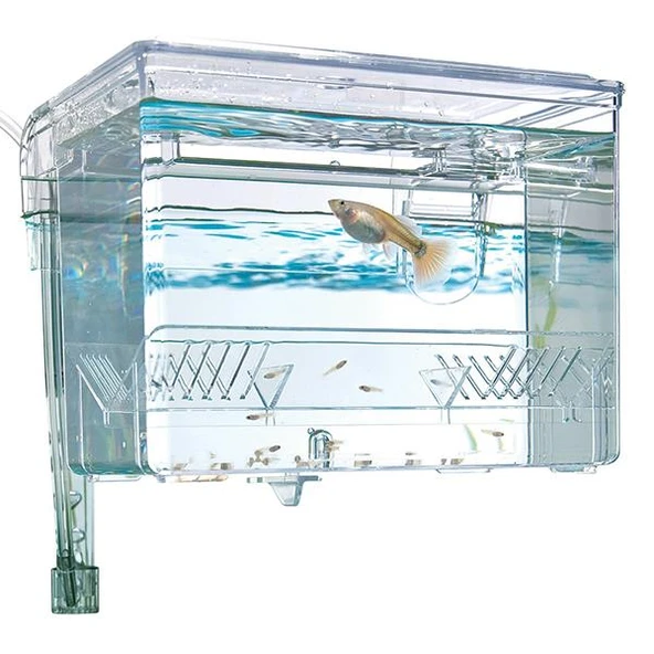 Fluval Askı Plastik Küçük Yavruluk 16x12x12cm - 3