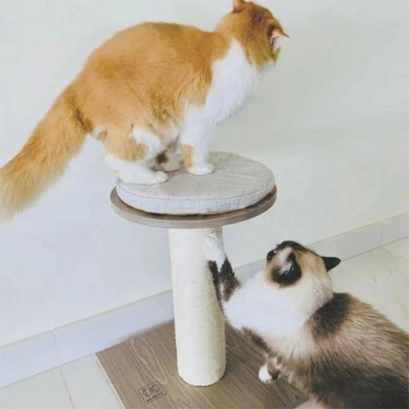 M-Pets Elite Marilyn Kedi Tırmalama Tahtası 40x40x48Cm - 2