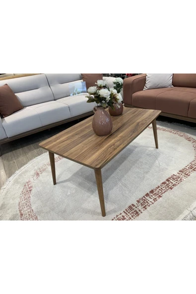 Orta Sehpa Modern Ceviz - Resim 3