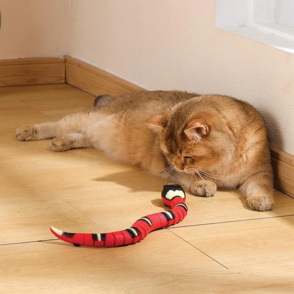 M-Pets Sneaky Snake İnteraktif Kedi Oyuncağı - 3