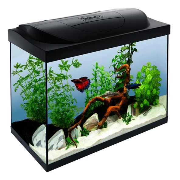 Tetra Starter Line Led Akvaryum 80 Litre - 1