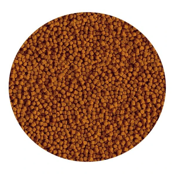 Tetra Goldfish Granules 100ml - Japon Balığı Yemi - Resim 2