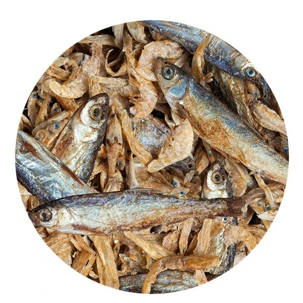 Sera Raffy Royal Kaplumbağa Yemi 1000 ml 220 gr - 2