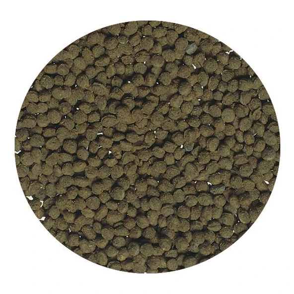 Tetra Goldfish Color Sticks 250ml - Japon Balığı Yemi - 2