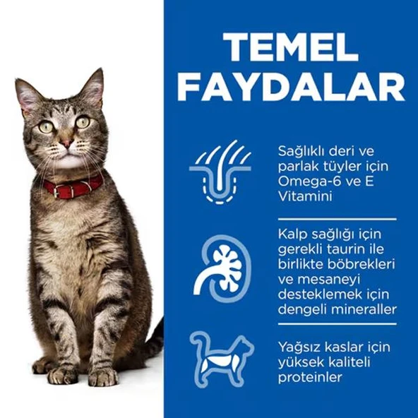 Hills Adult Tavuklu Yetişkin Kedi Maması 8+2Kg Bonus Paket - 4