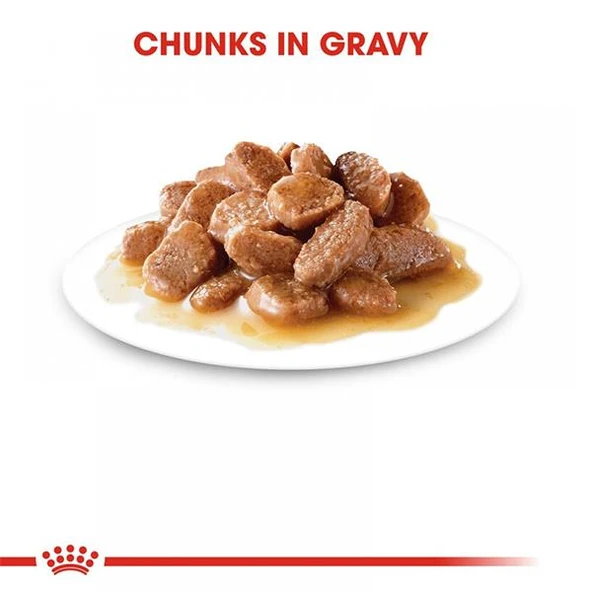 Royal Canin Instinctive Gravy Yetişkin Kedi Konservesi 85gr - 4