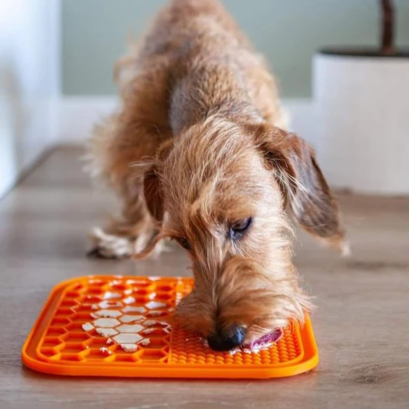 M-Pets Lecca Sıvı Ödül Matı Mavi Medium ürün görseli