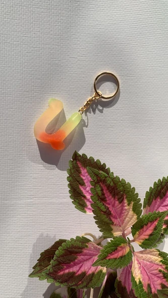 Rengarenk U Harf Şekilli Gold Aksesuarlı Anahtarlık Epoksi El Yapımı Hediyelik - Resim 3