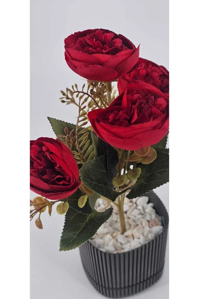 küçük kırmızı şakayık gülü yıldız aranjmanlı 27 cm
