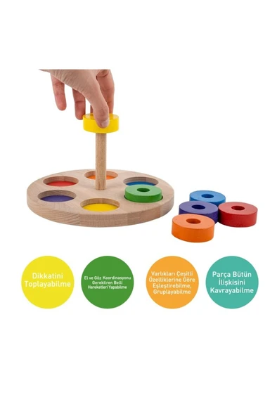 Bee Smart Renkli Halkalar ve Renkler BS701 - 5