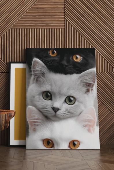 SELMIRA 3 Kedi Kanvas Tablo