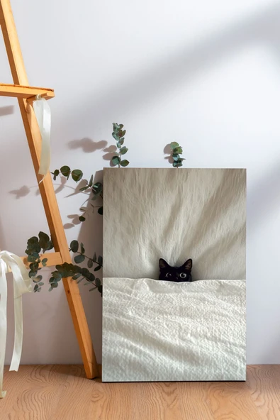 SELMIRA Uyanmış Kedi Kanvas Tablo