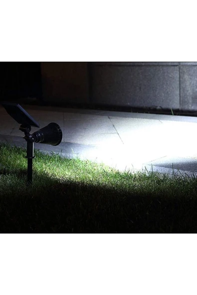 Cata 7 W Led Solar Bahçe Armatürü Ct-7310 Beyaz Işık - 2