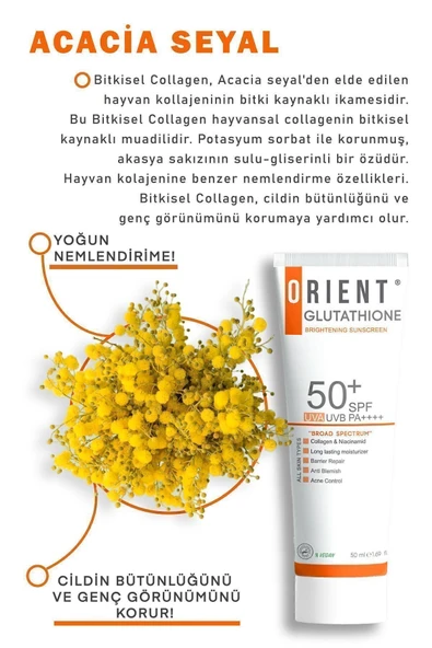 ORİENT GLUTATYONLU VE KOLAJENLİ YÜKSEK KORUYUCULU LEKE ÖNLEYİCİ SPF 50 GÜNEŞ KREMİ VEGAN - 5