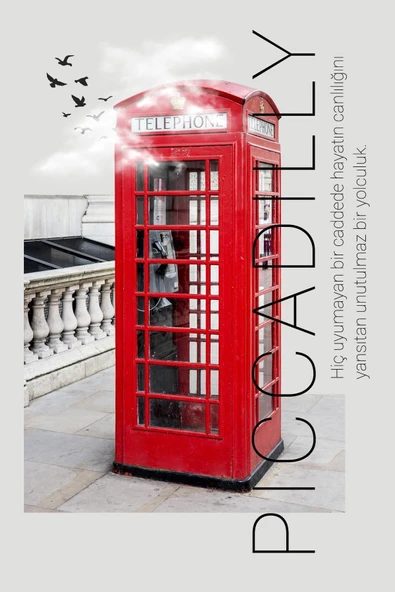 JACK LONDON EDT ERKEK PARFÜM PİCCADİLLY 50 ML | FRESH, MARİN | MİSKET LİMON, BERGAMOT, DENİZ NOTALAR - 7