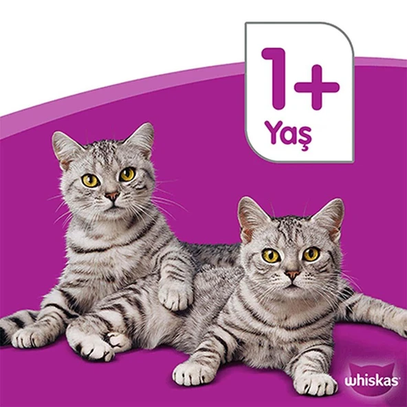 Whiskas Pouch Yavru Kümes Hayvanlı Kedi Maması 85 gr x 28 - 4
