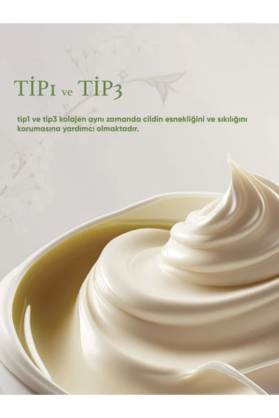 WİNLİFE KOLAJEN'Lİ MASAJ KREMİ - 4