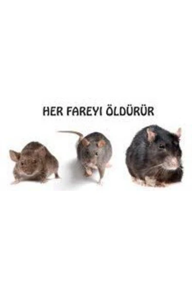 Vebı Murın Pasta Fare Zehri 100 GR BÜYÜK AMBALAJDAN BÖLÜNEREK YOLLANIR - 2